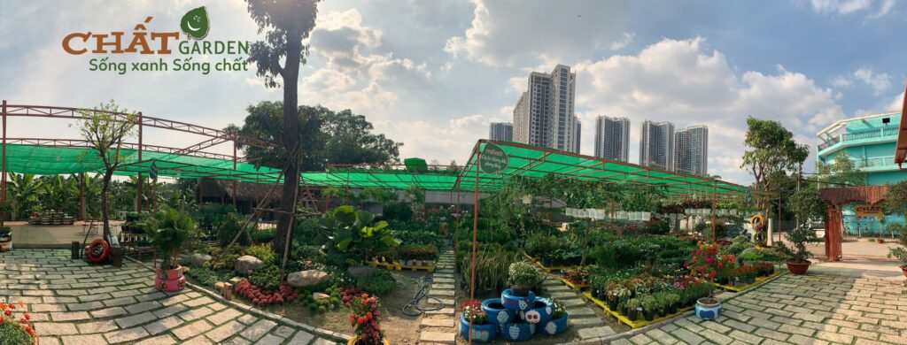 Công Ty Mạnh Tuấn